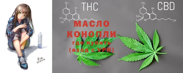 mdpv Елабуга