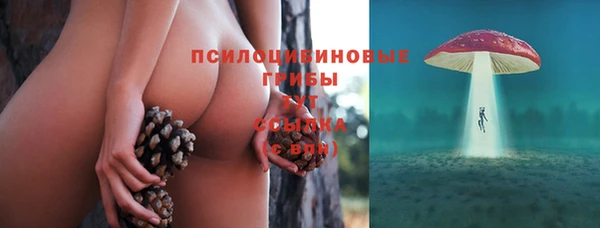 бошки Елизово