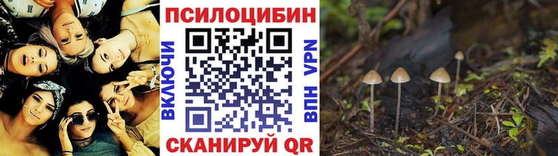 Псилоцибиновые грибы прущие грибы  купить  цена  Боровск 