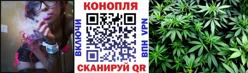 Шишки марихуана White Widow  Боровск 